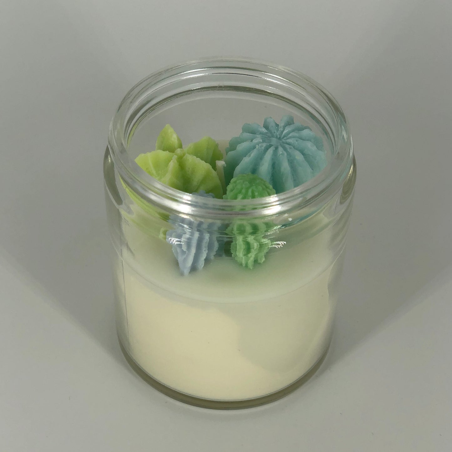 Succulent Soy Candle in Blue and Green