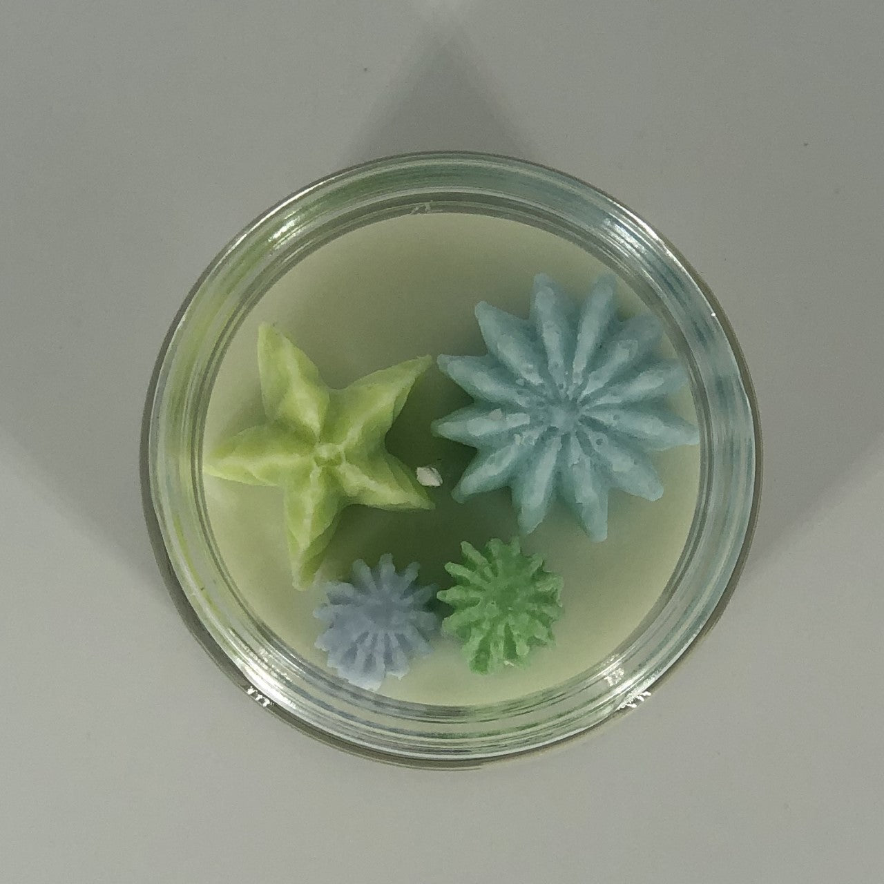 Succulent Soy Candle in Blue and Green