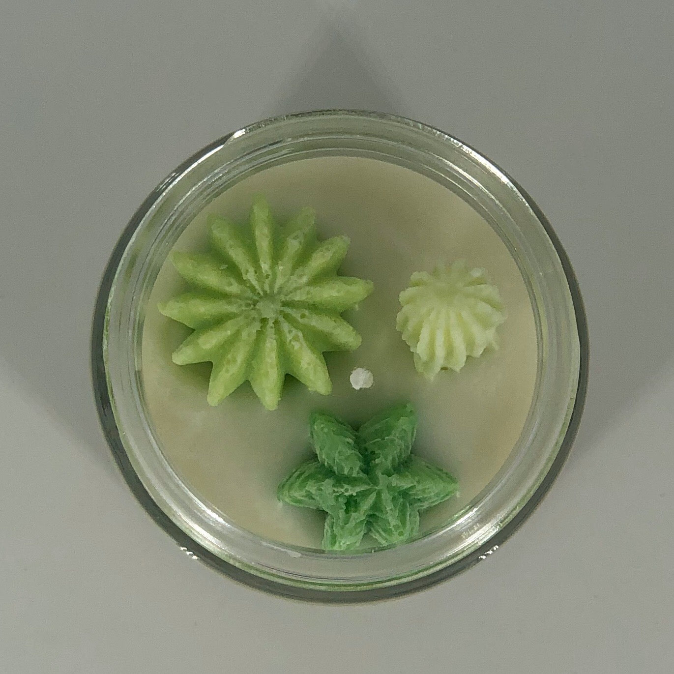 Succulent Soy Candle in Green