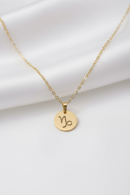 Capricorn Zodiac Necklace