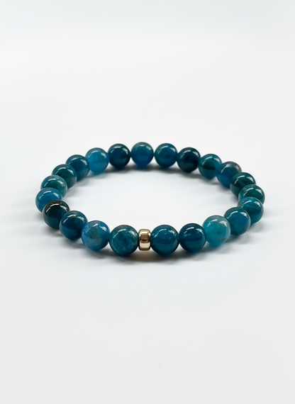 Apatite with Gold Stretch Bracelet